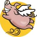 风口星 logo
